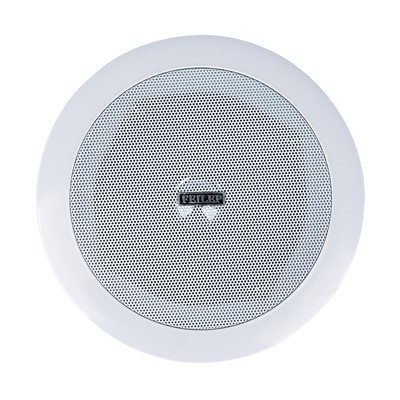 Fighting Fight au plafond dans les haut-parleurs muraux